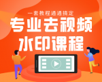 专业去视频水印教程 静态水印、动态水印、文字水印、图片水印一套教程通通搞定-新手副业项目