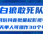 白狼敢死队最新抖音短视频批量起影视号（一天单人可操作30个号）视频课程-新手副业项目