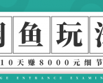 龟课·闲鱼项目玩法实战班第12期，操作10天左右利润有8000元细节玩法-新手副业项目