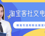 某站内部课程：淘宝客社交电商裂变，精准引流和粉丝裂变模式详解（共6节视频）-新手副业项目