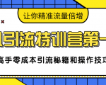 卓凡引流特训营第一期：高手零成本引流秘籍和操作技巧，让你精准流量倍增-新手副业项目