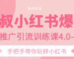 狼叔小红书爆款推广引流训练课4.0，手把手带你玩转小红书-新手副业项目