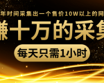 年赚十万的采集站，每天却只需要1小时，一年时间采集出一个售价10W以上的网站-新手副业项目