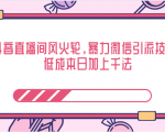 抖音直播间风火轮，暴力微信引流技术，低成本日加上千法-新手副业项目