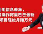 利用信息差异，零投资操作阿里巴巴最新管道项目轻松月赚10000+-新手副业项目