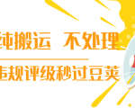 抖音纯搬运 不处理 小技巧，30秒发一个作品，避免违规评级秒过豆荚-新手副业项目