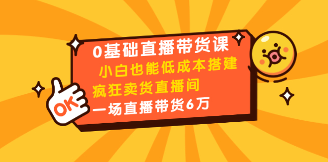 0基础直播带货课：小白也能低成本搭建疯狂卖货直播间：1场直播带货6万-新手副业项目
