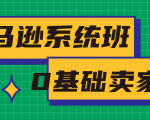 亚马逊系统班，专为0基础卖家量身打造，亚马逊运营流程与架构-新手副业项目