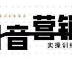 《12天线上抖音营销实操训练营》通过框架布局实现自动化引流变现-新手副业项目