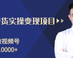 柚子分享课：微信视频号变现攻略，新手零基础轻松日赚千元-新手副业项目