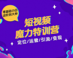 零基础小白进阶到大神《短视频魔力特训营》定位-运营-引流-变现-新手副业项目