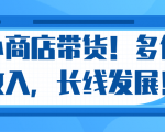 微信小商店带货,爆单多倍收入,长期复利循环!日赚300-800元不等-新手副业项目