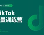 2020最新TikTok流量增长训练营（完结）附PPT-新手副业项目