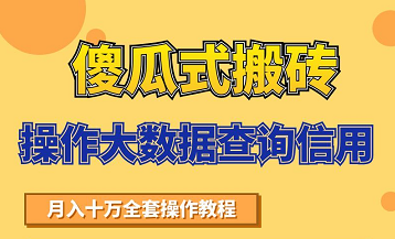 搬砖操作大数据查询信用项目赚钱教程,祝你快速月入6万-新手副业项目