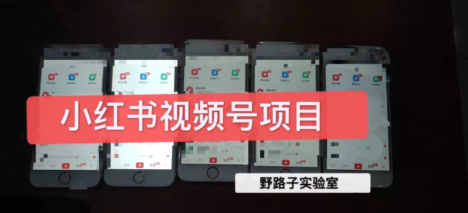 野路子小红书视频号1.0项目，直接上手操作就能赚钱的视频号项目-新手副业项目