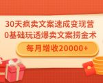 30天疯卖文案速成变现营，0基础玩透爆卖文案捞金术！每月增收20000+-新手副业项目