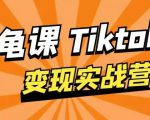 龟课·TikTok变现实战训练营线上第1期，多种变现模式，轻松赚美刀-新手副业项目