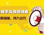 视频号新手实战训练营,让变现更简单,玩赚视频号,轻松月入过万-新手副业项目