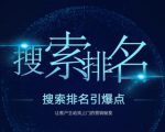 搜索排名引爆点：教你快速掌握各个搜索引擎排名算法，让客户主动找上你的秘笈-新手副业项目