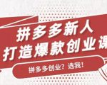 拼多多新人打造爆款创业课:快速引流持续出单,适用于所有新人-新手副业项目