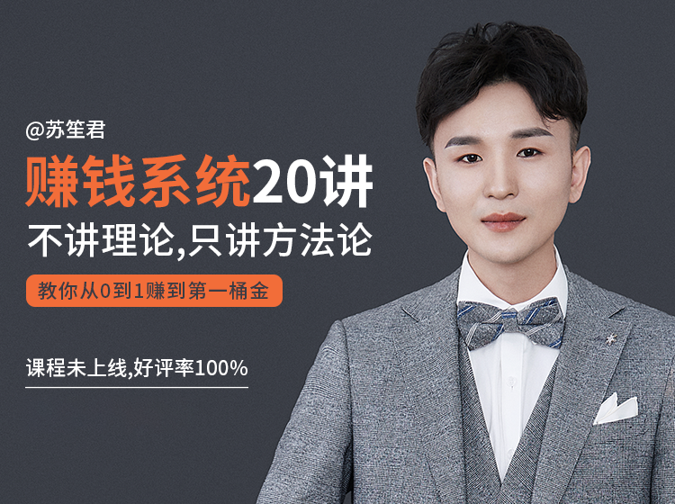 苏笙君的赚钱系统20课 教你从0到1赚到你的第一桶金（不讲理论，只讲方法论）-新手副业项目