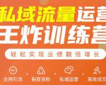 私域流量运营王炸训练营:全网引流+裂变涨粉+私域运营+高效成交-新手副业项目