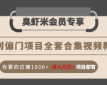 暴利偏门项目全套合集视频教程:你要的日赚1000+月入几万+项目都有-新手副业项目