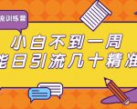 清和行记引流训练营:小白不到一周便能日引流几十精准粉-新手副业项目