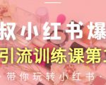 狼叔小红书爆款推广引流训练课第12期,手把手带你玩转小红书-新手副业项目