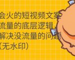 只说话就会火的短视频文案课，从根本上解决没流量的问题-新手副业项目