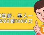 Paypal拉新赚美刀项目，单人一天利润500-1000刀【视频课程】-新手副业项目