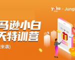 雨课·亚马逊小白特训营第9期 跨境电商挺赚钱的 有朋友已经月入几十万美金-新手副业项目