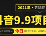 抖音9.9课程项目,没粉丝也能卖课,一天300+粉易变现-新手副业项目