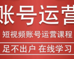 短视频账号运营课程:从话术到短视频运营再到直播带货全流程,新人快速入门-新手副业项目