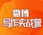 村西边老王·微博超级写作实战营,帮助你粉丝猛涨价值999元-新手副业项目