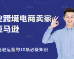 职业跨境电商卖家聊亚马逊:亚马逊运营的10项必备知识,12堂课让你看懂亚马逊运营-新手副业项目