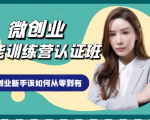 微创业全能训练营认证班课程，从理论知识与实际案例手把手指导创业新手如何从零到有-新手副业项目