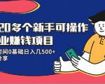 20多个新手可操作的副业赚钱项目：业余时间0基础日入几500+实操分享-新手副业项目