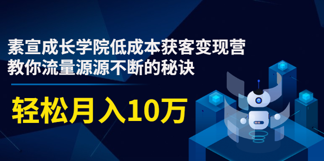 素宣成长学院低成本获客变现营，教你流量源源不断的秘诀，轻松月入10万-新手副业项目