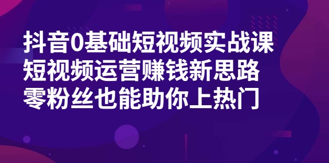 抖音0基础短视频实战课，短视频运营赚钱新思路，零粉丝也能助你上热门-新手副业项目