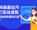 2021闲鱼副业月入过万实战课程:从开店到选择货源到引流,全程实战教学-新手副业项目