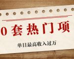 30套热门项目:单日最高收入过万 (网赚项目、朋友圈、涨粉套路、抖音、快手)等-新手副业项目