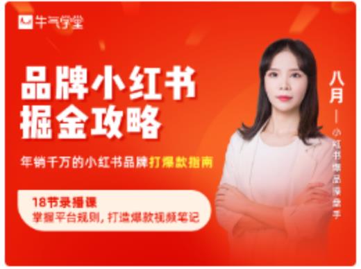 品牌小红书掘金攻略，年销千万的小红书品牌打爆款指南-新手副业项目