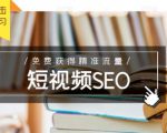 未来新趋势，布局短视频SEO，如何利用抖音SEO免费获得精准流量（3节课）-新手副业项目