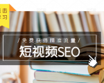 未来新趋势,布局短视频SEO,如何利用抖音SEO免费获得精准流量(3节课)-新手副业项目