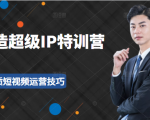 超级IP特训营:表演表达、高效输出优质短视频运营技巧,价值999元-新手副业项目