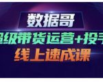数据哥·超级带货运营+投手线上速成课，快速提升运营和熟悉学会投手技巧-新手副业项目