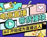 大鹏·电商直播带货课，系统学习直播带货各环节技巧和套路-新手副业项目