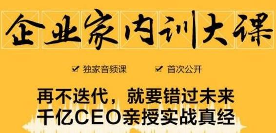 企业家内训大课，未来企业必学经验，价值1299元-新手副业项目