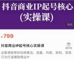 抖音商业IP起号核心实操课，带你玩转算法，流量，内容，架构，变现-新手副业项目